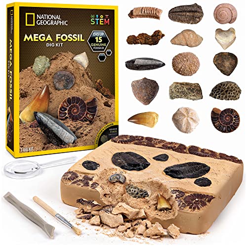 NATIONAL GEOGRAPHIC Kit de Paleontólogo con Excavaciones Fósiles - 1